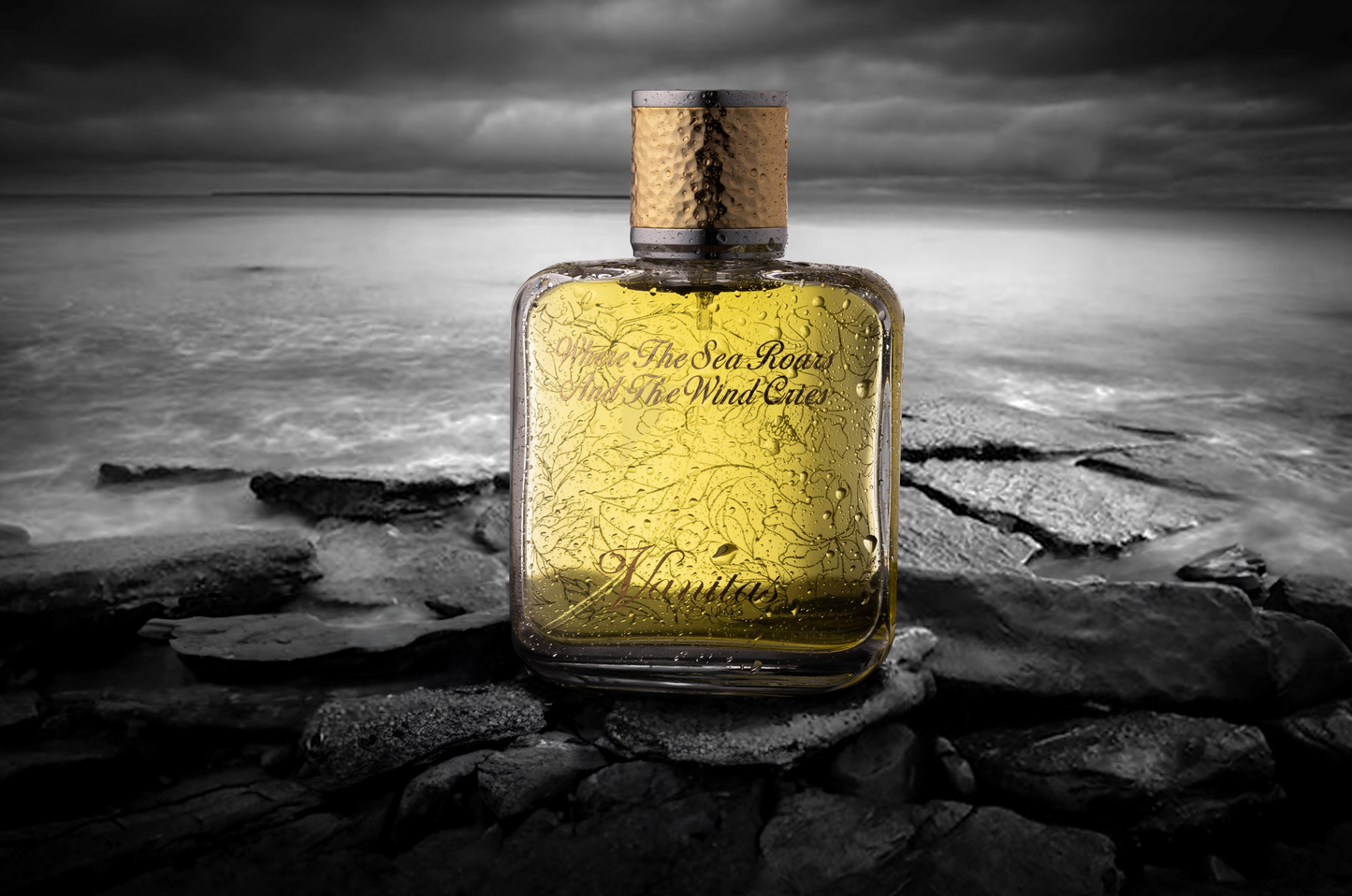 Where The Sea Roars And The Wind Cries